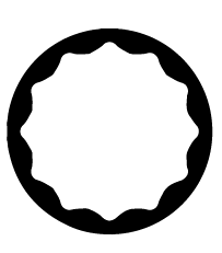 12 Point Socket